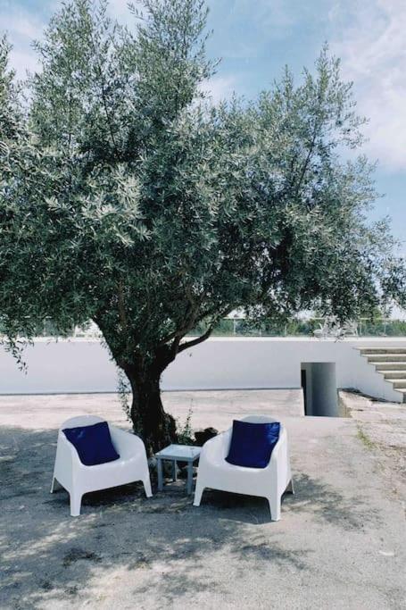Casa Da Oliveira Villa Nelas Eksteriør bilde