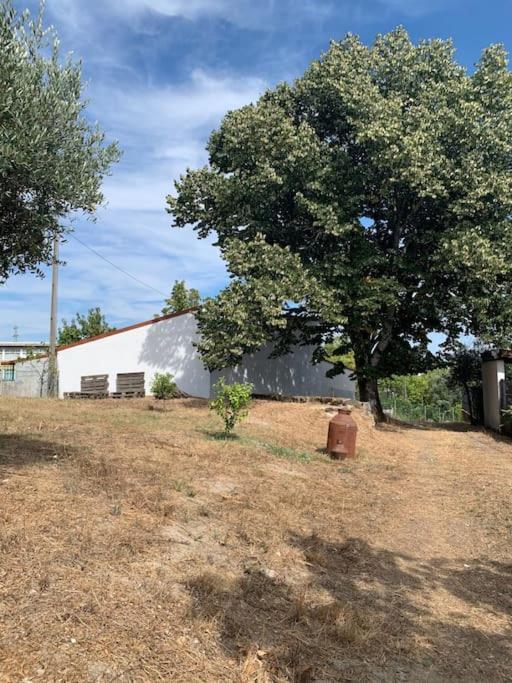 Casa Da Oliveira Villa Nelas Eksteriør bilde