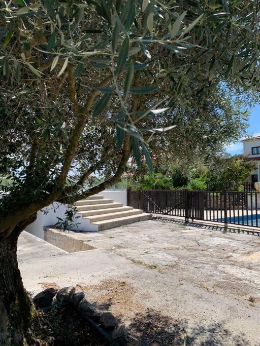Casa Da Oliveira Villa Nelas Eksteriør bilde